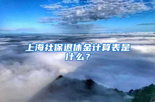 上海社保退休金计算表是什么？