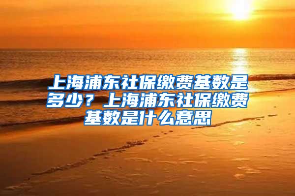 上海浦东社保缴费基数是多少？上海浦东社保缴费基数是什么意思