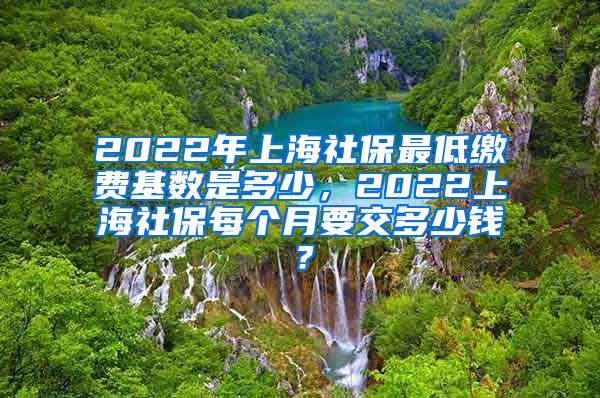 2022年上海社保最低缴费基数是多少，2022上海社保每个月要交多少钱？