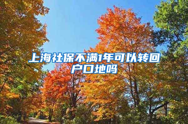 上海社保不满1年可以转回户口地吗