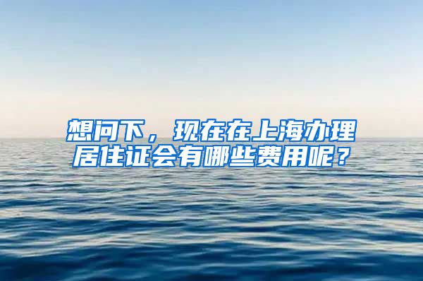 想问下，现在在上海办理居住证会有哪些费用呢？