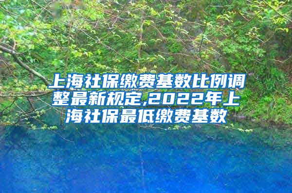 上海社保缴费基数比例调整最新规定,2022年上海社保最低缴费基数