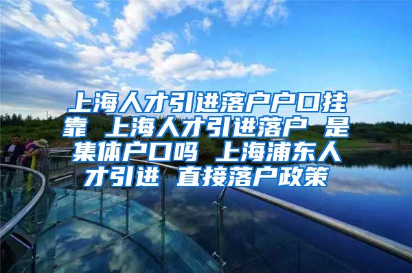 上海人才引进落户户口挂靠 上海人才引进落户 是集体户口吗 上海浦东人才引进 直接落户政策