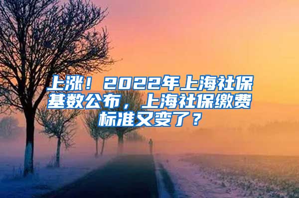 上涨！2022年上海社保基数公布，上海社保缴费标准又变了？