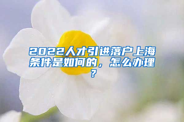 2022人才引进落户上海条件是如何的，怎么办理？