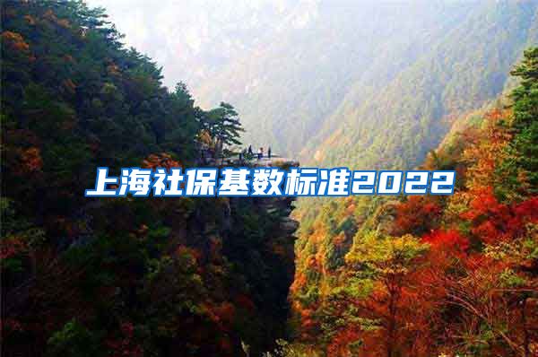 上海社保基数标准2022