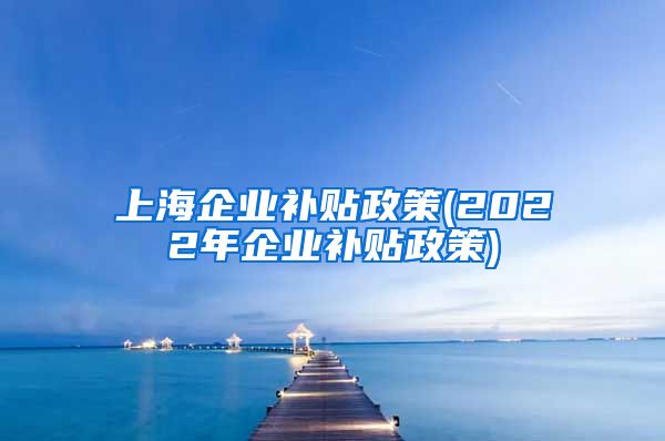 上海企业补贴政策(2022年企业补贴政策)