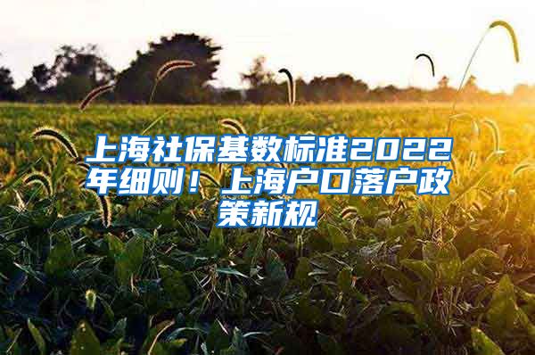 上海社保基数标准2022年细则！上海户口落户政策新规