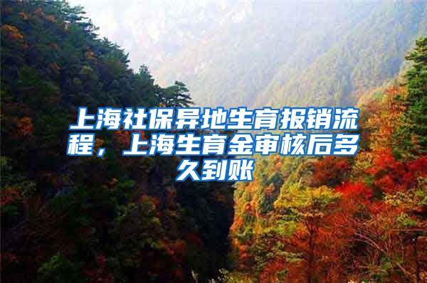 上海社保异地生育报销流程，上海生育金审核后多久到账
