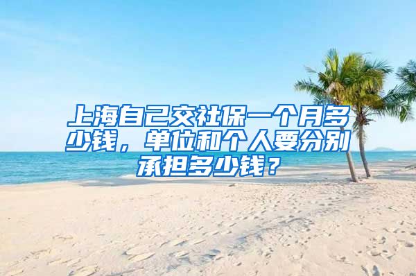 上海自己交社保一个月多少钱，单位和个人要分别承担多少钱？