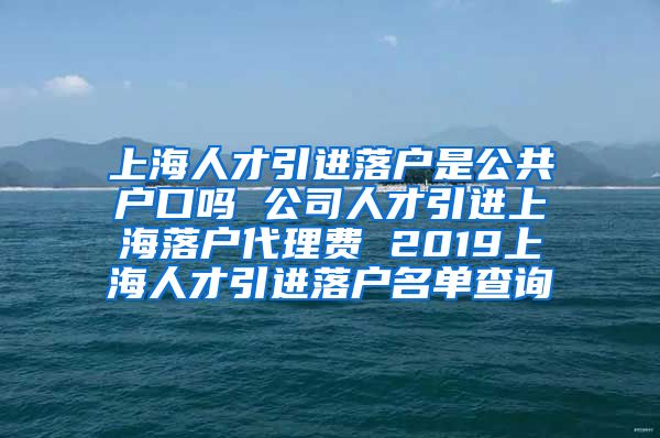 上海人才引进落户是公共户口吗 公司人才引进上海落户代理费 2019上海人才引进落户名单查询