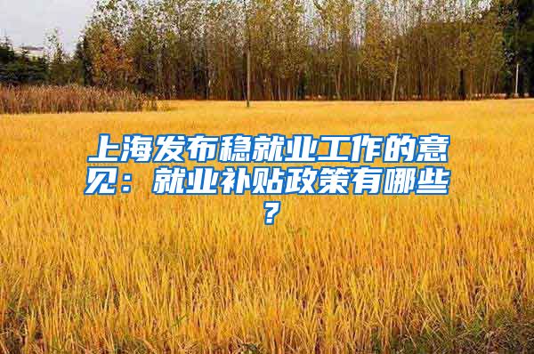 上海发布稳就业工作的意见：就业补贴政策有哪些？