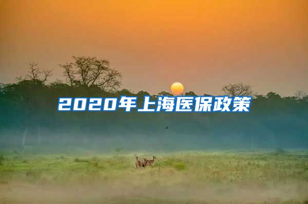 2020年上海医保政策