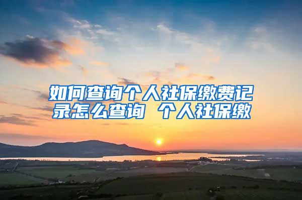 如何查询个人社保缴费记录怎么查询 个人社保缴