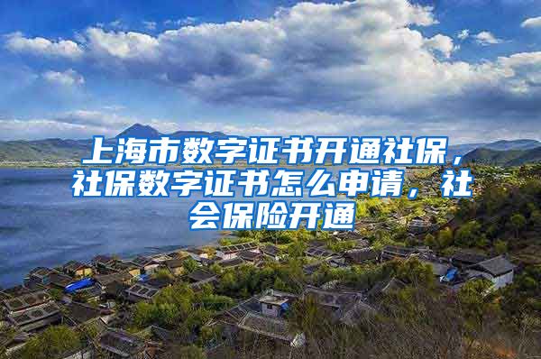 上海市数字证书开通社保，社保数字证书怎么申请，社会保险开通