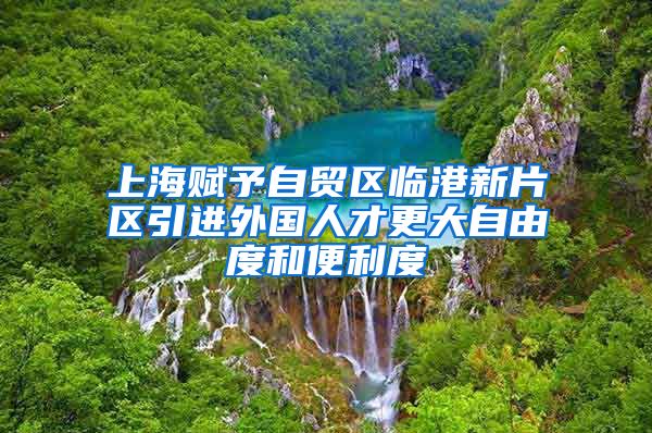 上海赋予自贸区临港新片区引进外国人才更大自由度和便利度