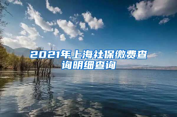 2021年上海社保缴费查询明细查询