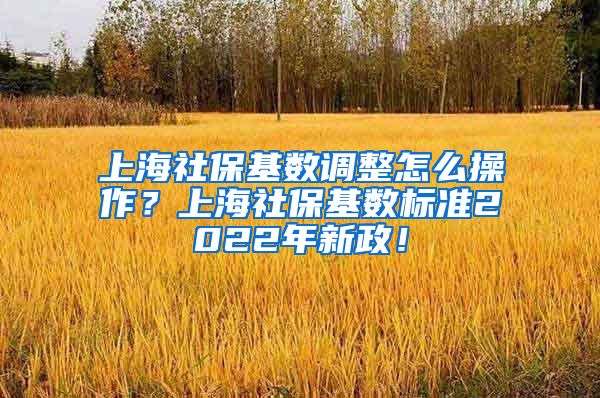 上海社保基数调整怎么操作？上海社保基数标准2022年新政！