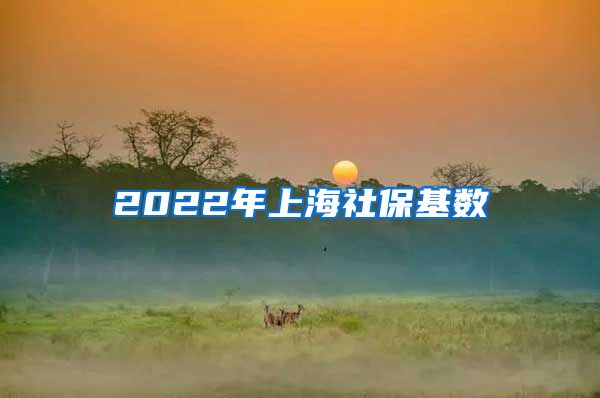 2022年上海社保基数