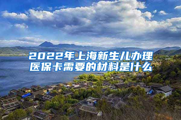 2022年上海新生儿办理医保卡需要的材料是什么