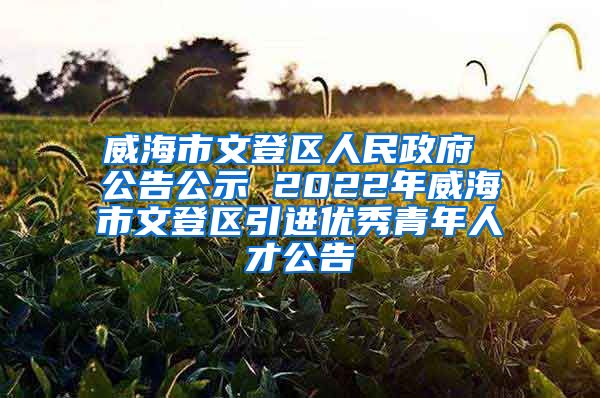 威海市文登区人民政府 公告公示 2022年威海市文登区引进优秀青年人才公告