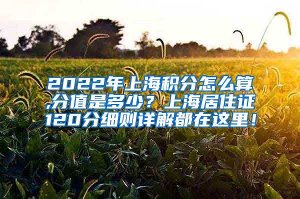 2022年上海积分怎么算,分值是多少？上海居住证120分细则详解都在这里！