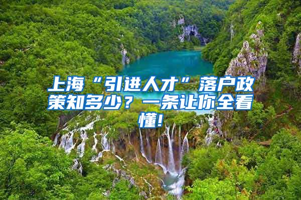 上海“引进人才”落户政策知多少？一条让你全看懂!