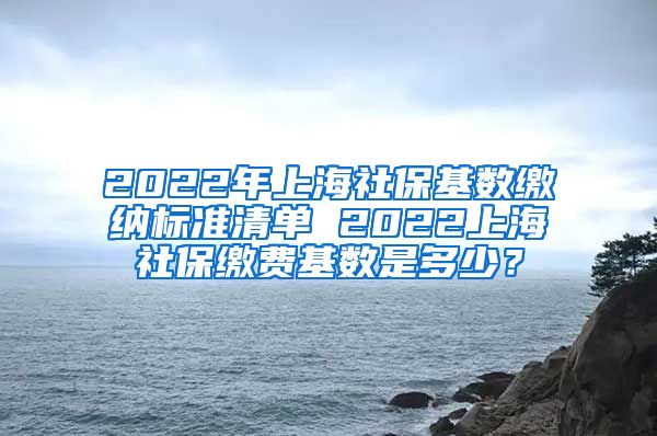 2022年上海社保基数缴纳标准清单 2022上海社保缴费基数是多少？