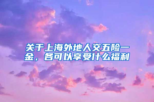 关于上海外地人交五险一金，各可以享受什么福利