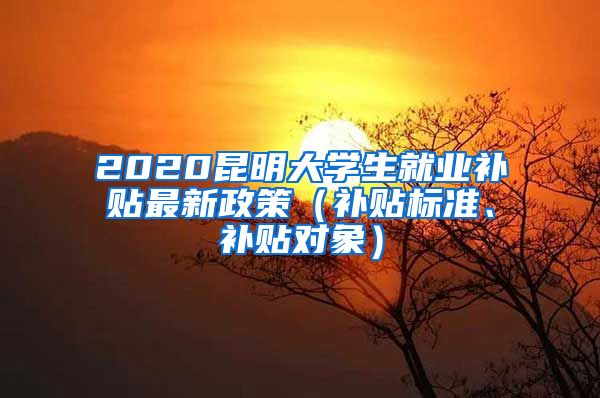 2020昆明大学生就业补贴最新政策（补贴标准、补贴对象）