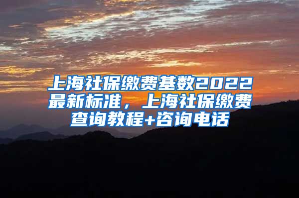 上海社保缴费基数2022最新标准，上海社保缴费查询教程+咨询电话