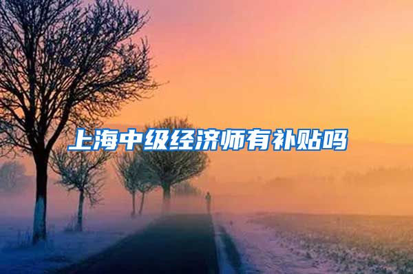 上海中级经济师有补贴吗