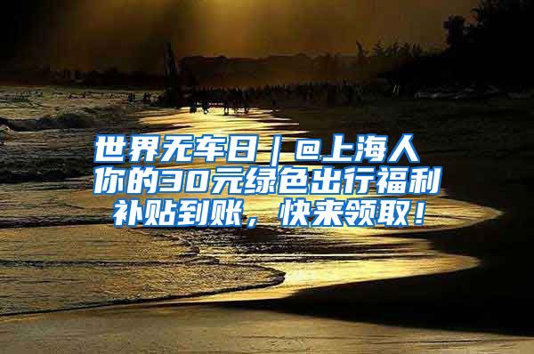 世界无车日｜@上海人 你的30元绿色出行福利补贴到账，快来领取！