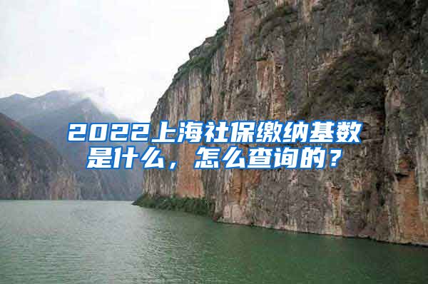 2022上海社保缴纳基数是什么，怎么查询的？