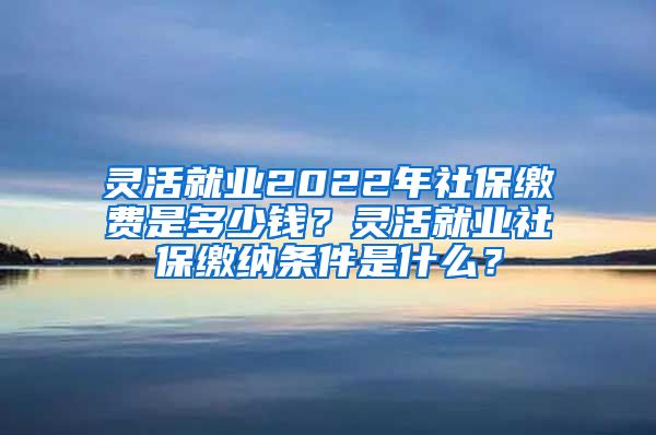 灵活就业2022年社保缴费是多少钱？灵活就业社保缴纳条件是什么？