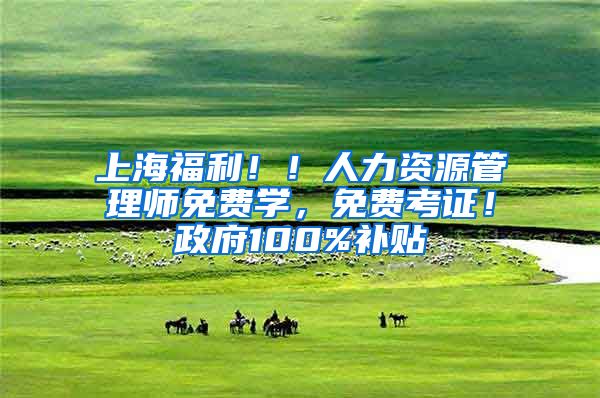 上海福利！！人力资源管理师免费学，免费考证！政府100%补贴