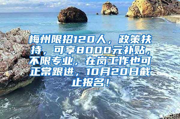 梅州限招120人，政策扶持，可享8000元补贴，不限专业，在岗工作也可正常跟进，10月20日截止报名！