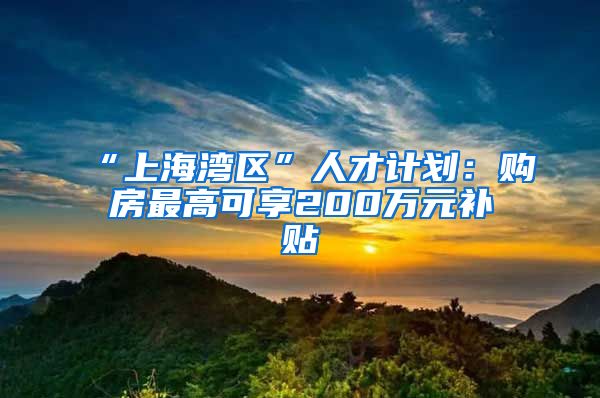 “上海湾区”人才计划：购房最高可享200万元补贴