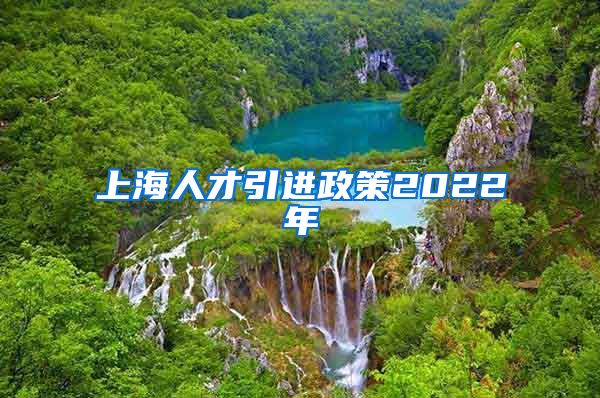 上海人才引进政策2022年