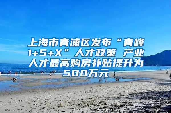 上海市青浦区发布“青峰1+5+X”人才政策 产业人才最高购房补贴提升为500万元