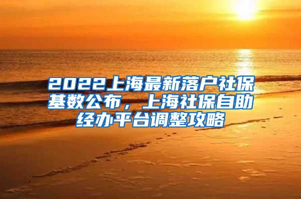2022上海最新落户社保基数公布，上海社保自助经办平台调整攻略