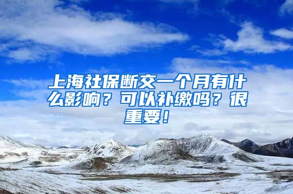 上海社保断交一个月有什么影响？可以补缴吗？很重要！