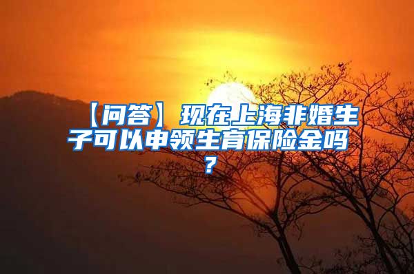 【问答】现在上海非婚生子可以申领生育保险金吗？