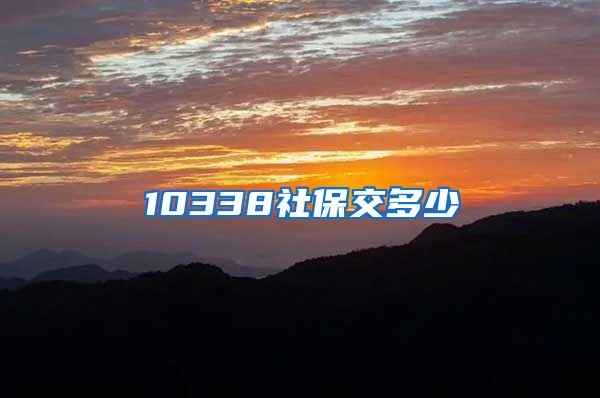 10338社保交多少