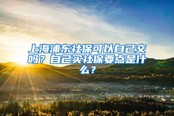 上海浦东社保可以自己交吗？自己买社保要点是什么？