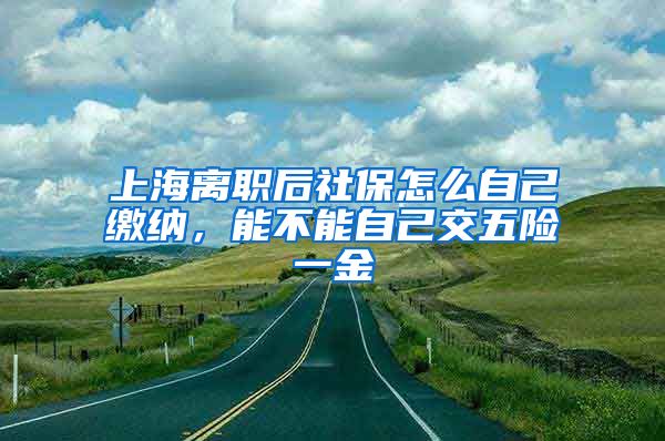 上海离职后社保怎么自己缴纳，能不能自己交五险一金