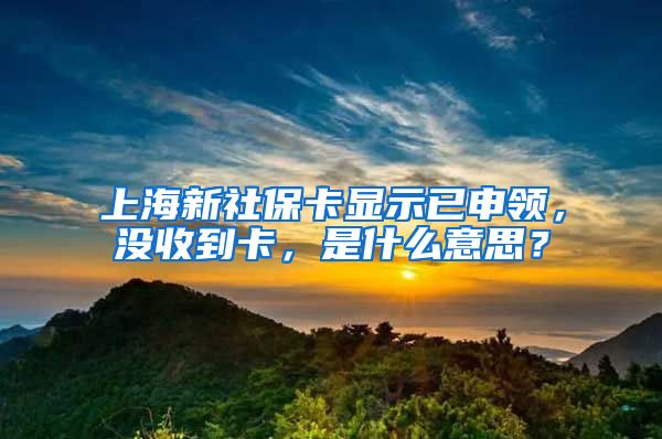 上海新社保卡显示已申领，没收到卡，是什么意思？