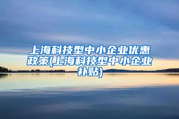 上海科技型中小企业优惠政策(上海科技型中小企业补贴)