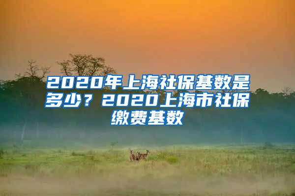 2020年上海社保基数是多少？2020上海市社保缴费基数