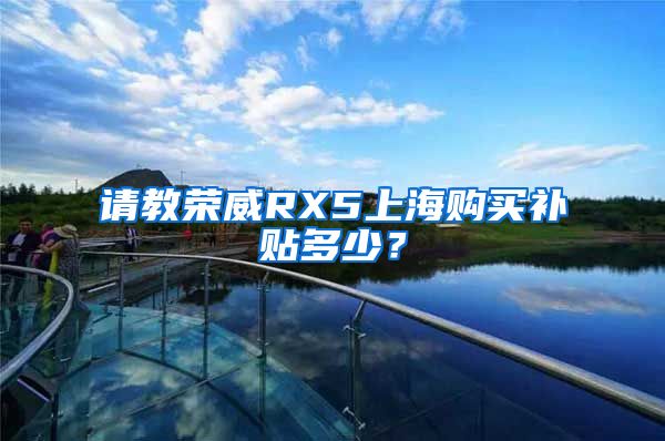 请教荣威RX5上海购买补贴多少？